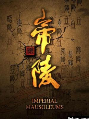 梦想闪烁